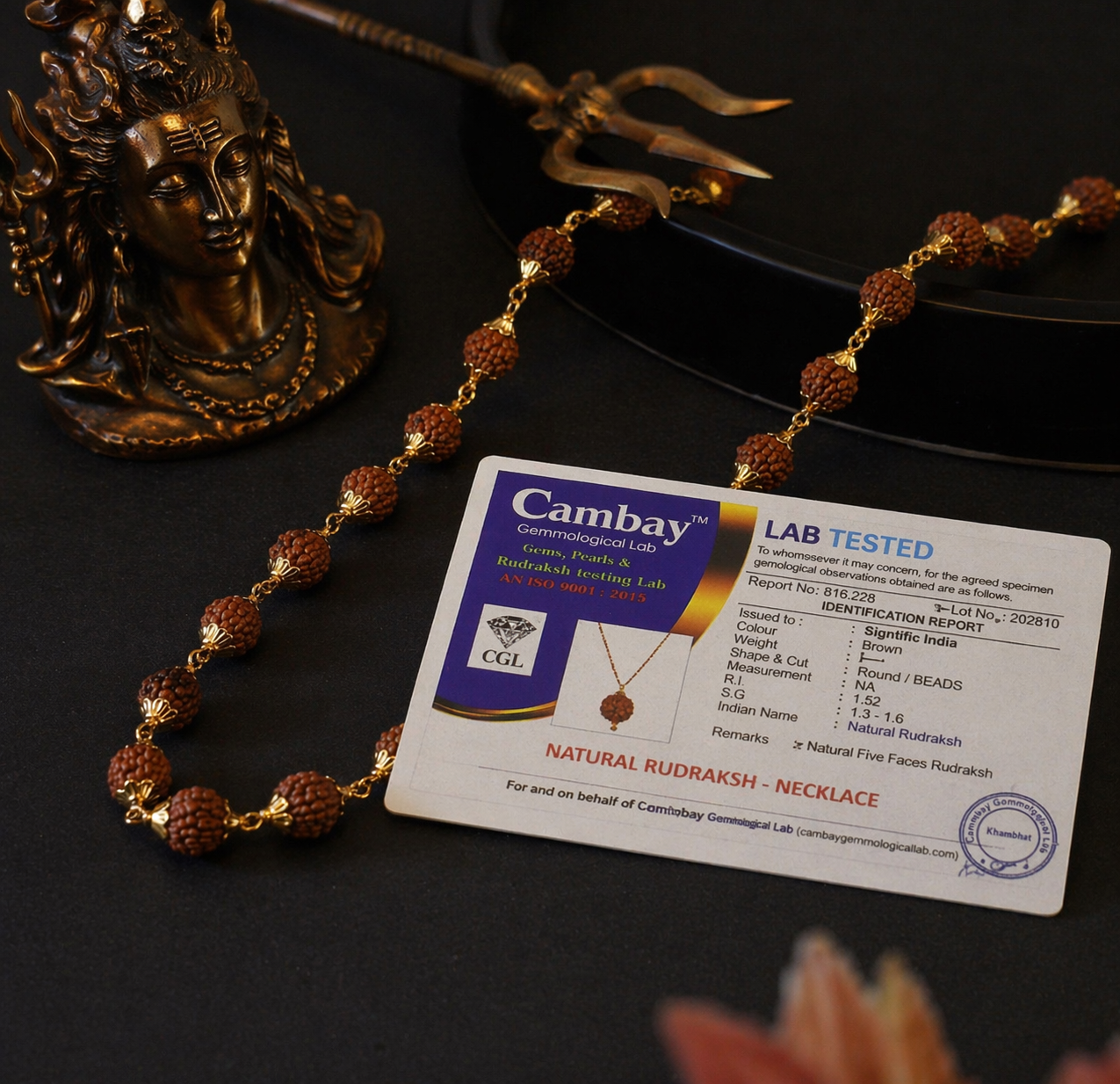 Gold Plated Premium Rudraksh Mala + 5 MUKHI RUDRAKSH PENDANT FREE