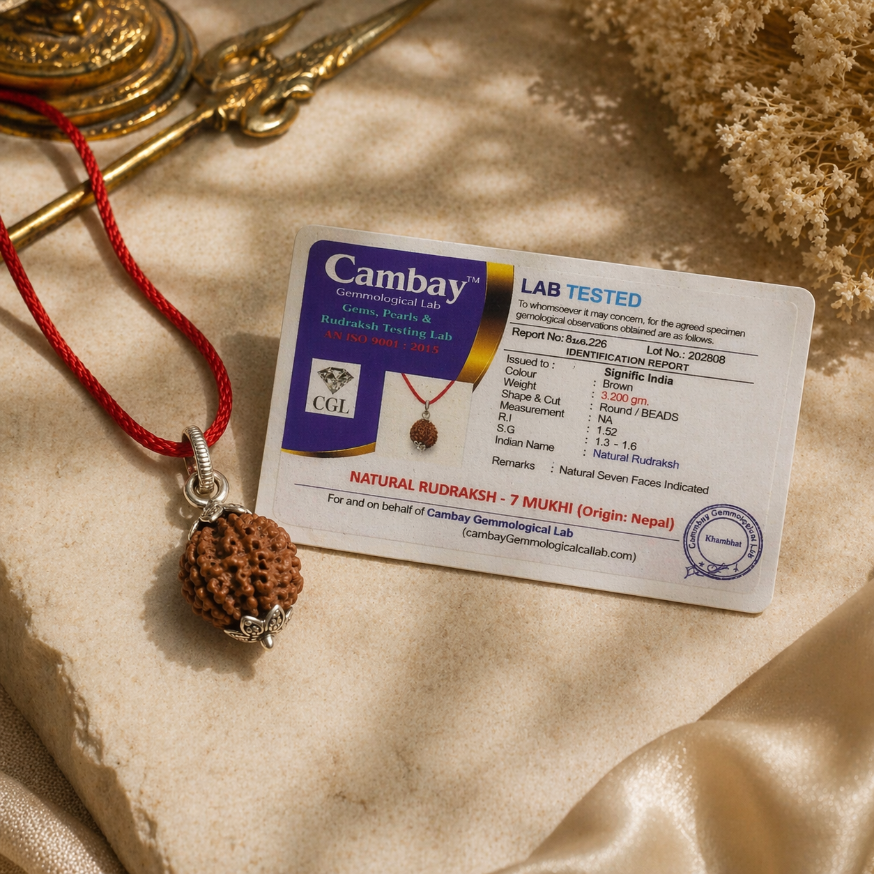 AUTHENTIC NEPALI 7-MUKHI RUDRAKSH - Saat Mukhi | For Wealth and Money