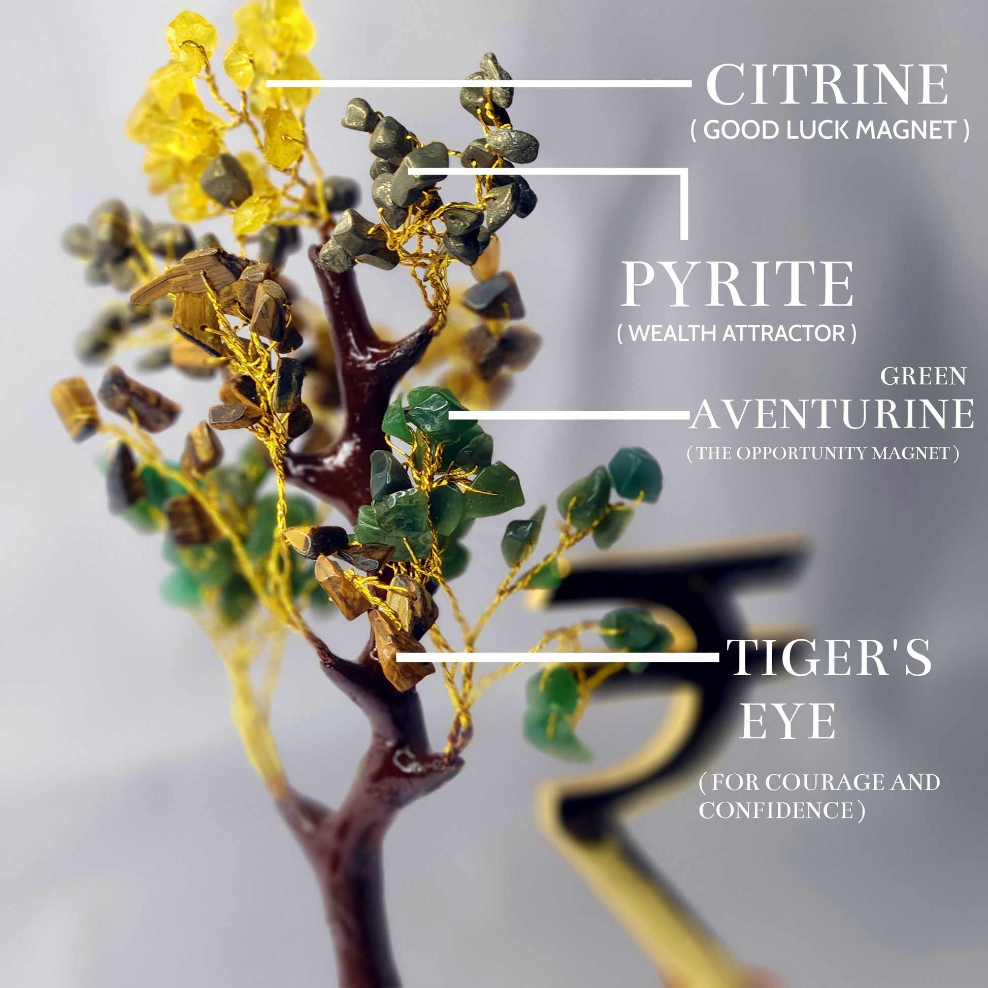 money magnet tree THE SIGNTIFIC MONEY TREE – Signtific India