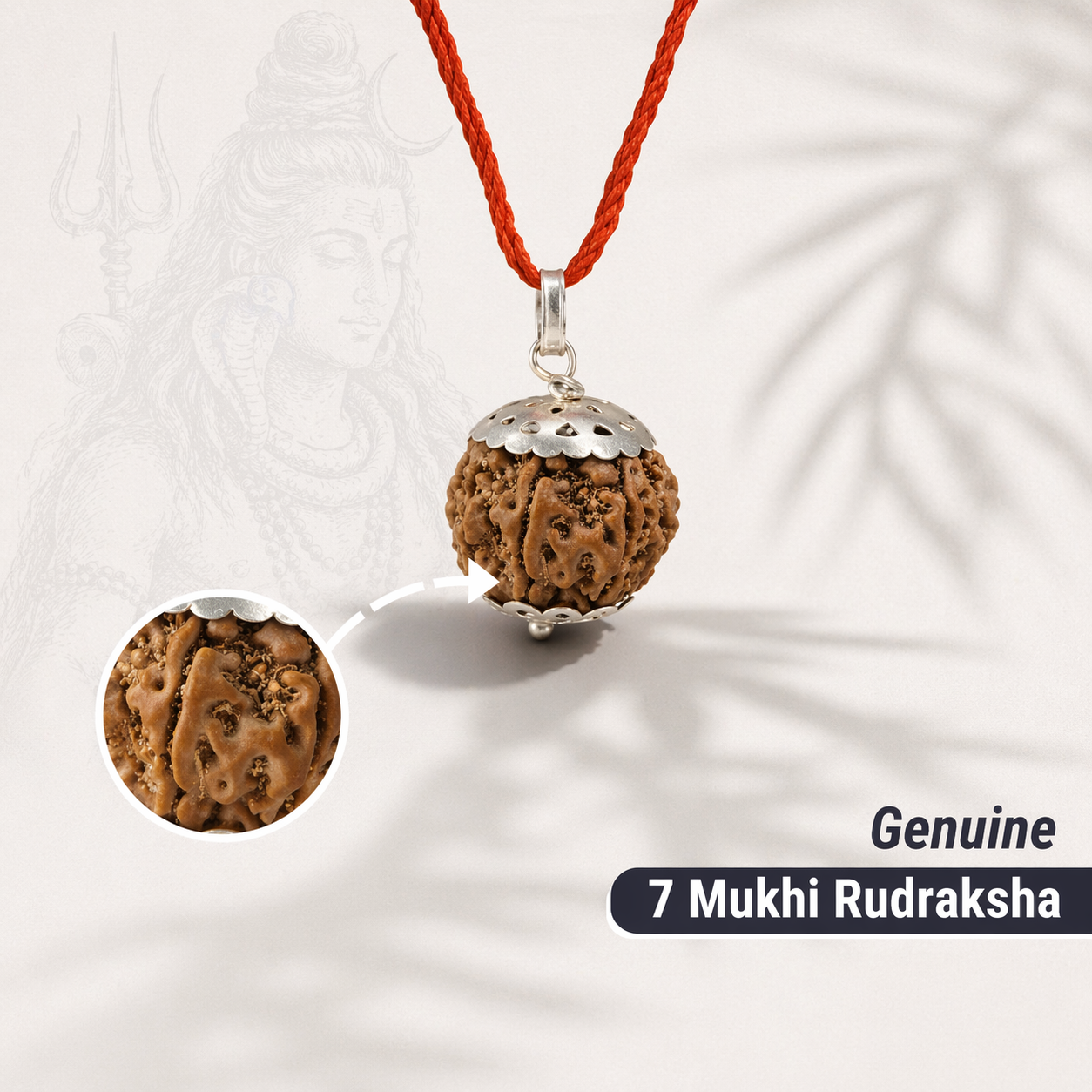AUTHENTIC NEPALI 7-MUKHI RUDRAKSH - Saat Mukhi | For Wealth and Money