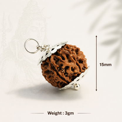 AUTHENTIC NEPALI 7-MUKHI RUDRAKSH - Saat Mukhi | For Wealth and Money