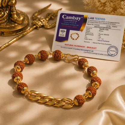 Gold Plated Links Rudraksh Bracelet