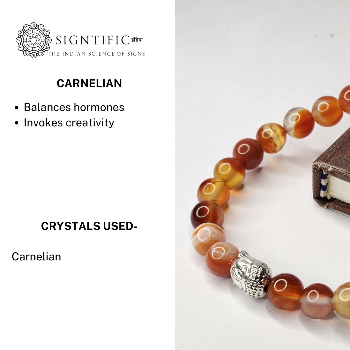 THE CREATIVE MINDSET - CARNELIAN