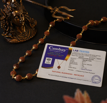 Gold Plated Premium Rudraksh Mala + 5 MUKHI RUDRAKSH PENDANT FREE