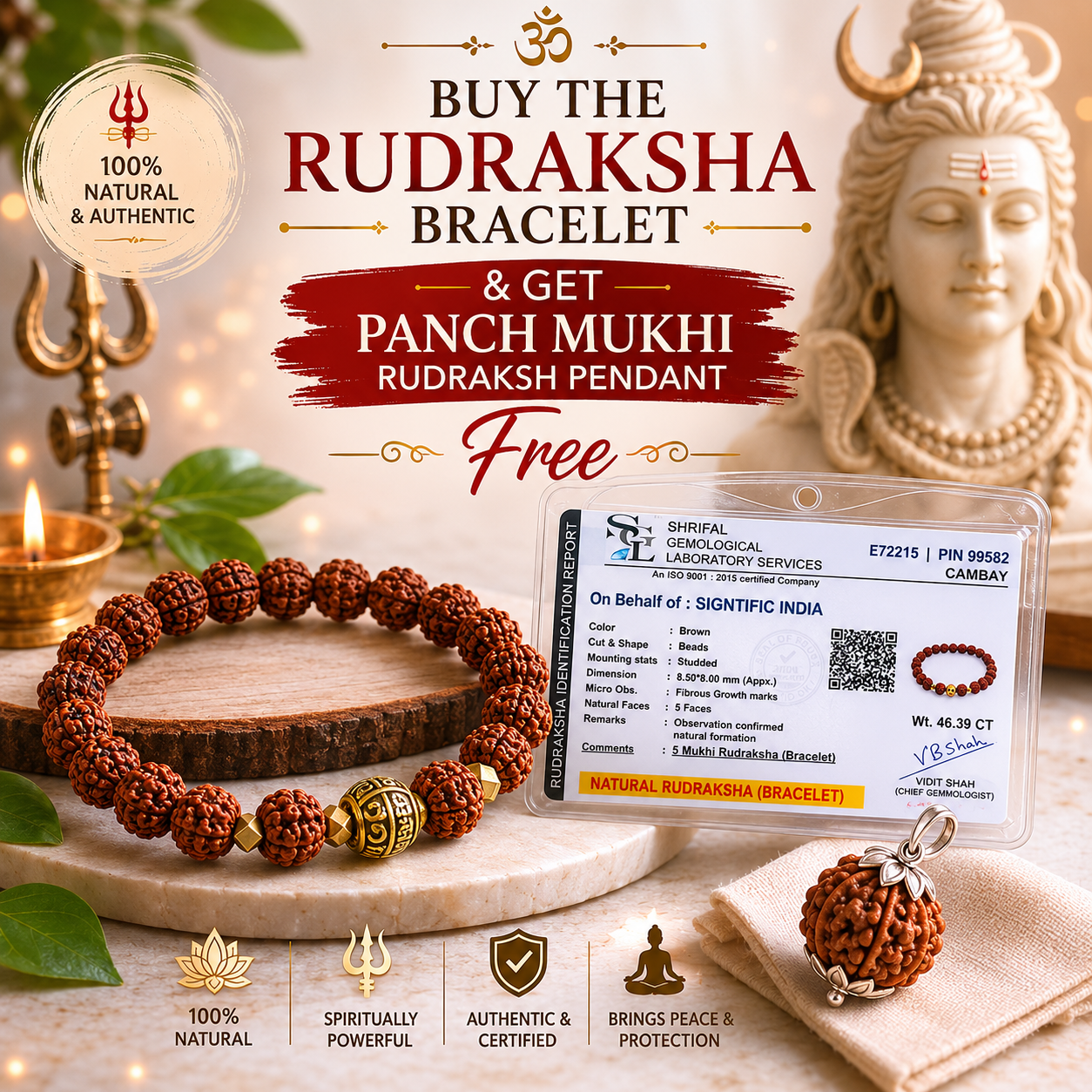 AUTHENTIC RUDRAKSH BRACELET + 5 MUKHI RUDRAKSH PENDANT FREE