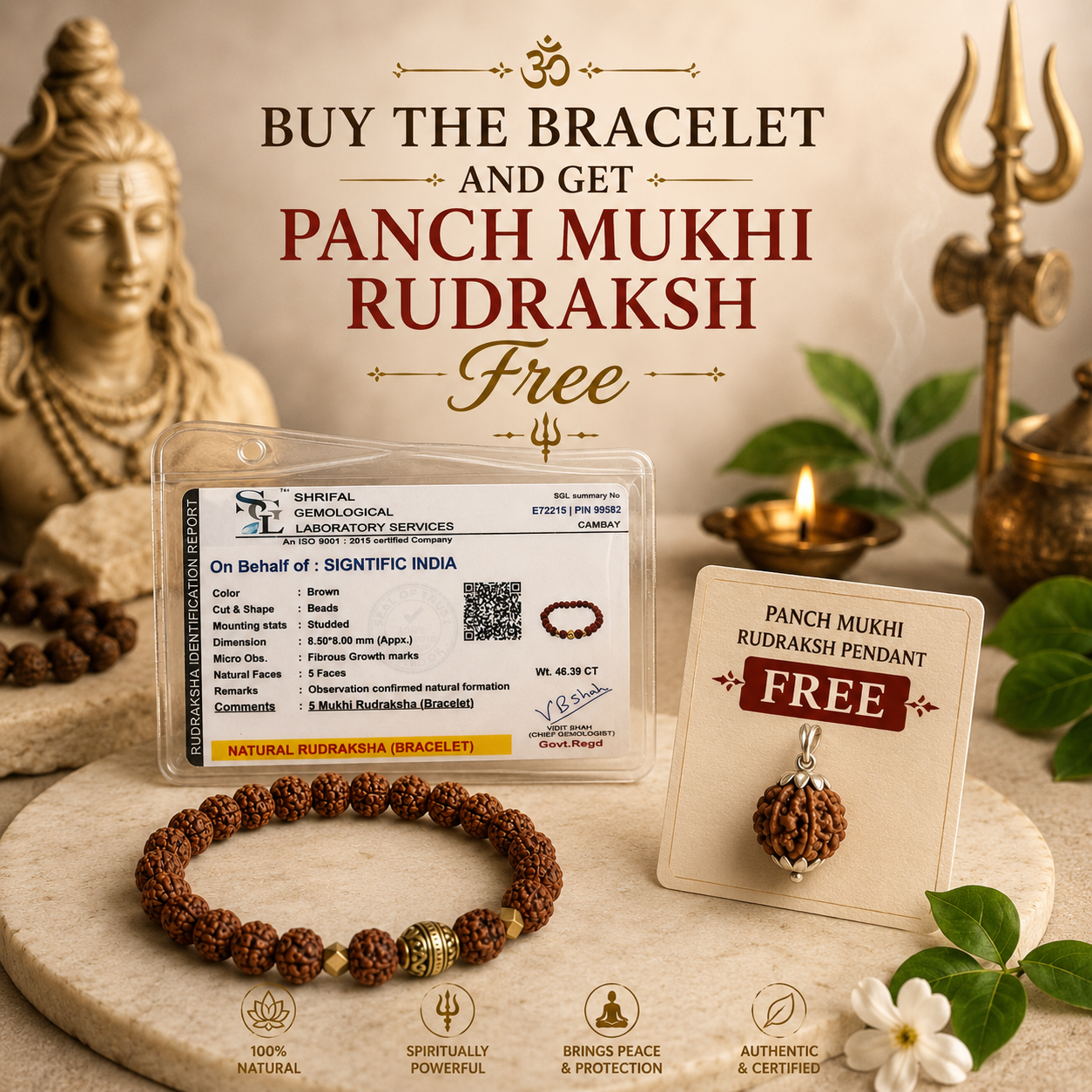 AUTHENTIC RUDRAKSH BRACELET + 5 MUKHI RUDRAKSH PENDANT FREE