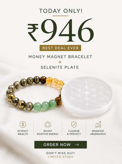 SIGNTIFIC MONEY MAGNET + SELENITE PLATE | LIMITED PIECES