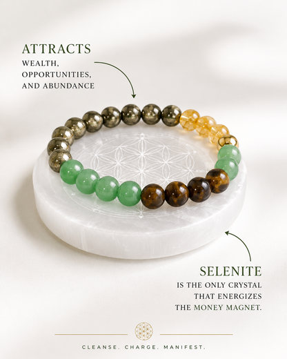 SIGNTIFIC MONEY MAGNET + SELENITE PLATE | LIMITED PIECES